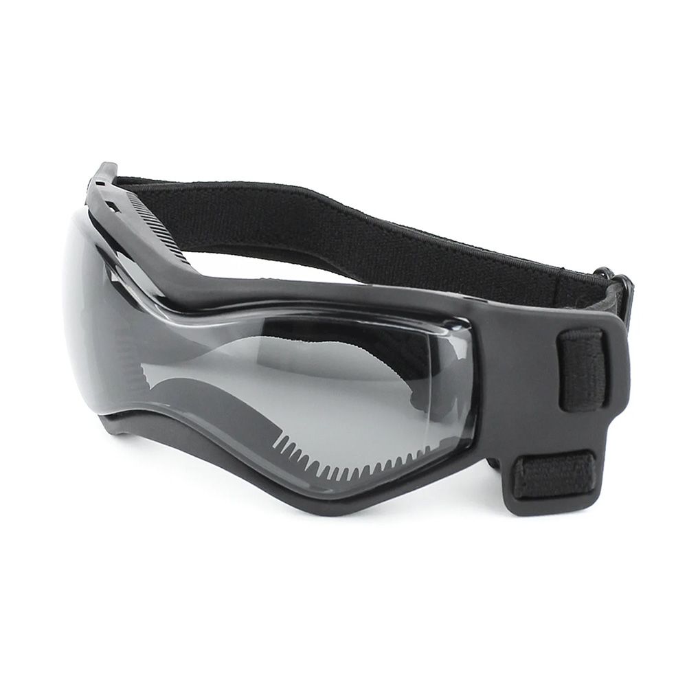 motorcycle goggles for small chihuahua dog