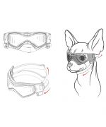 motorcycle goggles for chihuahua