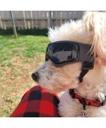 motorcycle goggles for small dogs