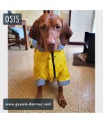 impermeable para perros marinos