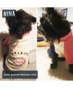 Bonita camiseta de bichón maltés