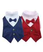  gilet de ceremonie pour chien
