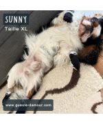 Socks for dogs tuxedo classes: chihi breed, yorki, bichon frize, toy poodle, westie, pug, bulldog