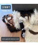 Socks for dogs tuxedo classes: chihi breed, yorki, bichon frize, toy poodle, westie, pug, bulldog