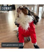 impermeable para perros marinos