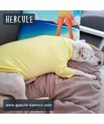 suéter de perro de algodón