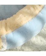 ultra cute chihuahua bed
