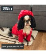 marine dog raincoat