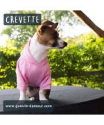 crevette et son petit pull rose pour chien