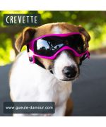 motorcycle goggles for small dogs