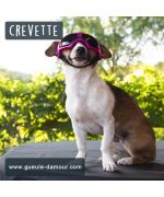 motorcycle goggles for small dogs