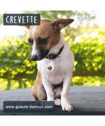 pendentif coeur pour jack russel