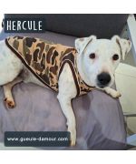 Camouflage tank top for dogs and cats cheap original small and large breed: chihuahua, sharpei, bulldog, york...