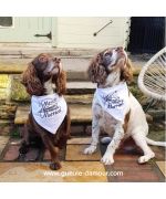 accesorio de perro de boda