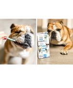 Toothpaste for dogs 100% natural