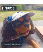dog-cat-pas-chere-trend-rhinestone-red-blue-face-of-love-cap