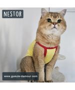Yellow lotus flower tank top for original dog for miniature breed, cheap mini dog special for unique cado
