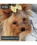 barrette for small dogs with elastic knot cheap delivery switzerland martinique guadeloupe guyane belgium