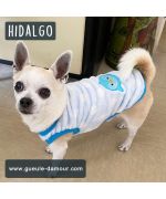 cheap dog clothes express delivery sweater for puppy blue fleece baby fast delivery