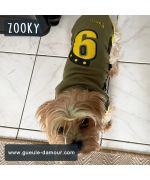 too cute york with little sports sweater