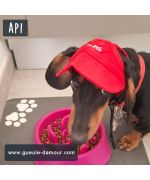 Casquette pour petit Teckel