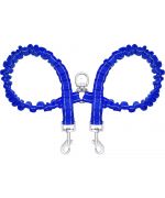 laisse double chien