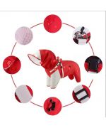 raincoat with integrated harness for dogs