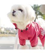 combinaison de pluie pour chien yorkshire