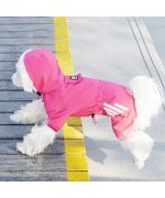 combinaison de pluie pour bichon frisé