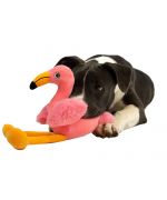 Flamenco rosa para perros