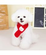 echarpe d'hiver pour chien