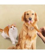 brosse a langue pour chien silicone