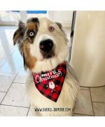 Merry Christmas Dog Scarf