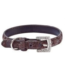 Collier pour chien marron - Liberty