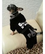 Gueule d'amour black velvet jogging pants with Paris rhinestones on sale on our online store for dogs and cats