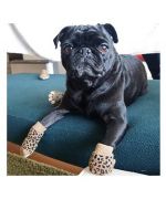Calcetín talla pequeña para perro pequeño en venta en París, Lyon, Marsella, Montpellier, Toulouse, Besançon, Niza, Cannes...