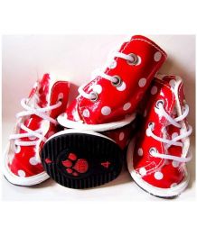 Rain shoes for dogs