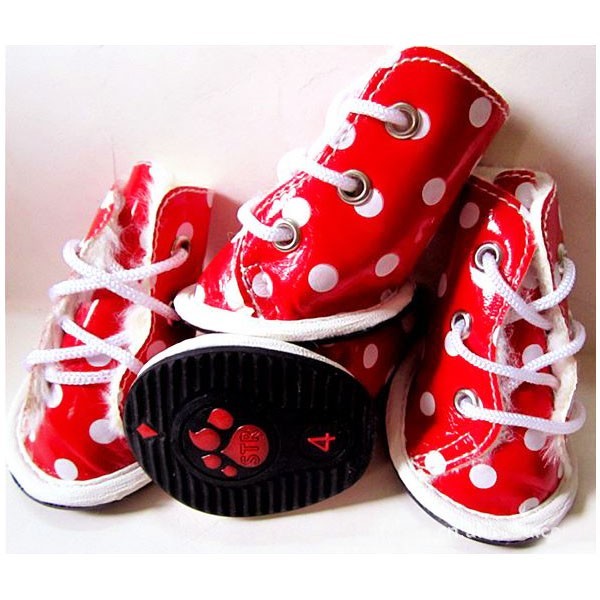 Chaussures de pluie pour chien