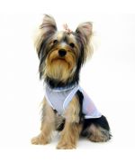 T-shirt for small and large breed pets: chihuahua, pinsher, york, cocker spaniel, french bulldog...