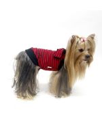 buy Breton accessories for dogs: clothing, t-shirt, unique and original coat for animal Christmas gifts