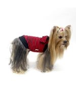 acheter accessoires bretons pour chiens : vetement, tshirt, manteau unique et original pour cadeaux de noel animaux