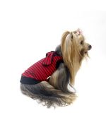 buy chic and elegant t-shirts for small and large animals in Paris, Lyon, Brittany, Montpellier...