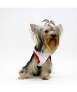 buy dress for small dog in white color for ceremony, party, surprise gifts, birthday delivery Corsica, Brittany...