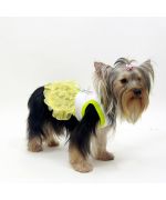 buy dress of a married dog size chihuahua, lhasa, shitzu, yorkshire terrier, dog, naked dog, chinese, bichon...