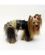 Culotte pour chien miniature, mini chien, petit chien, moyen chien, grand chien pas chere et originale sur gueule-damour.com