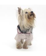 Chemise classe pour chien de petite et grande taille pour sortie, fête, anniversaire pour cadeau original printemps été soleil