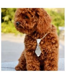 Cravate pour chien sertie de cristaux
