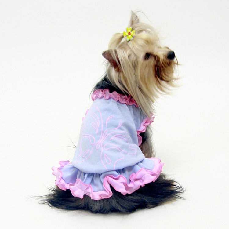 Clothing for poodle, westie, original and cute French bulldog on our online store for animals gueule d&#039;amour