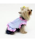 petit habit été chien et chat mini chien mini race mini chiwuawua mini yorkshire mini spitz sur animalerie tendance design fun