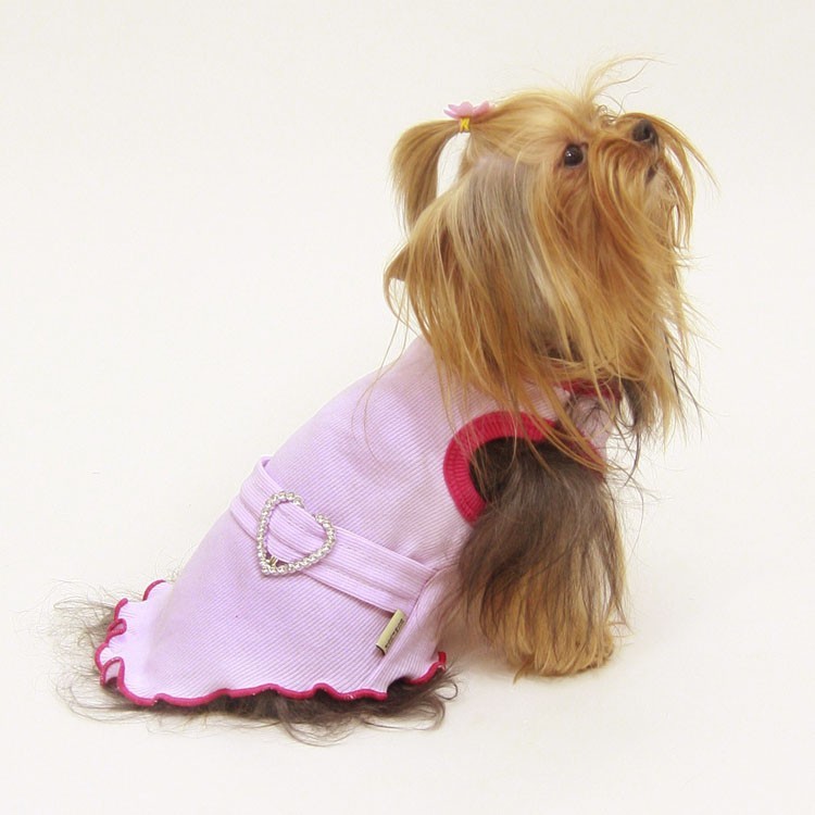 Summer clothes for dogs and cats dress miniature breed chiwuawua mini yorkshire pinsher on luxury fashion trend pet store